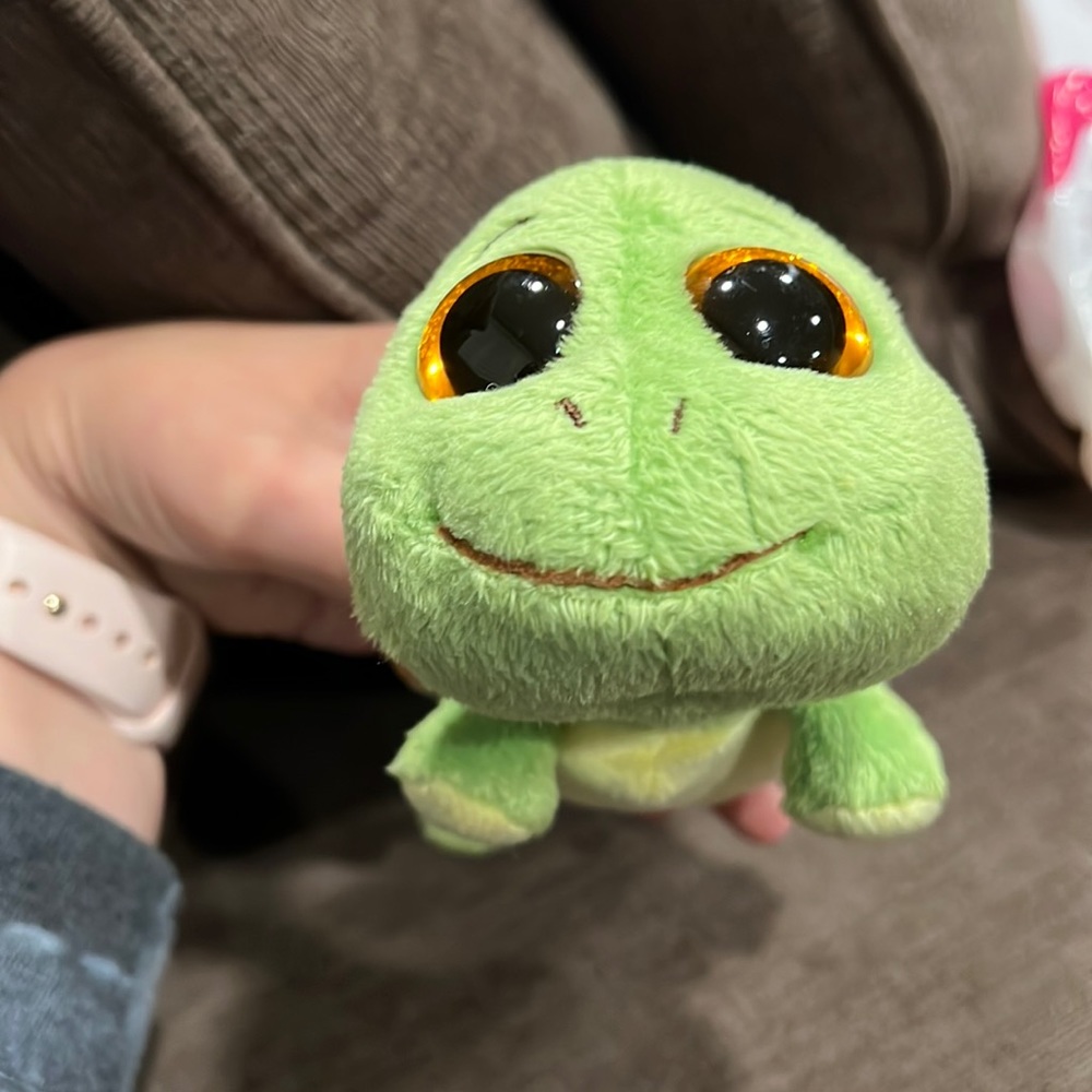Sandy the Turtle Beanie Boo